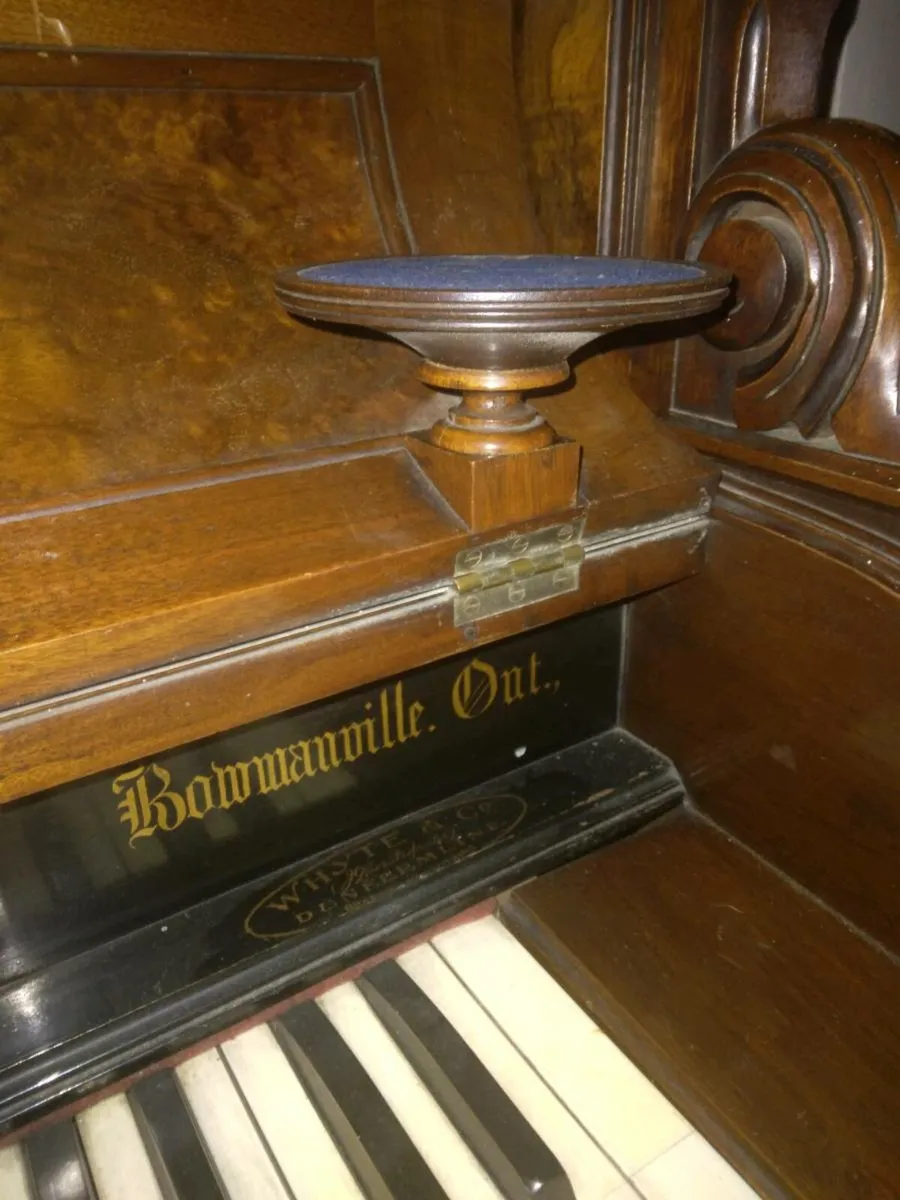 Reed Organ - Image 4