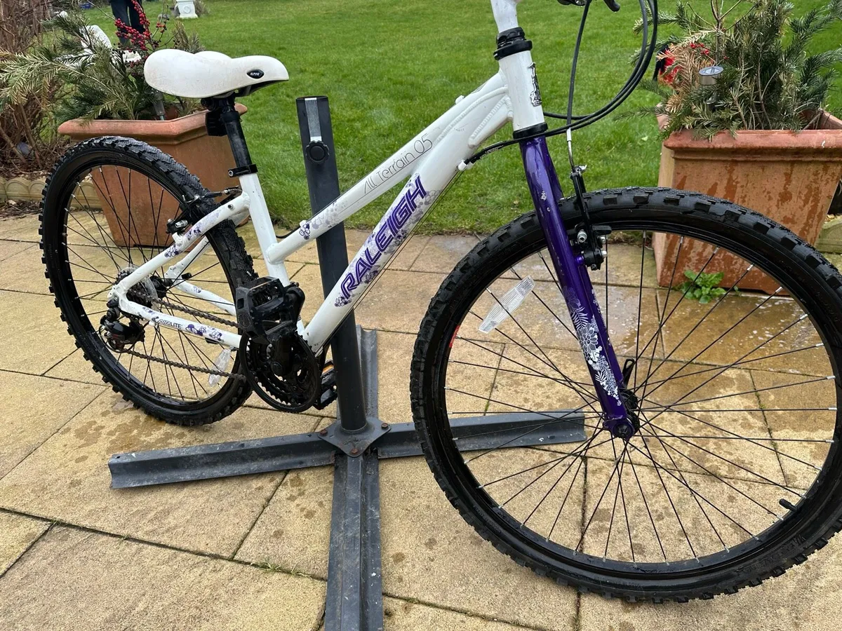 Girls Raleigh Mountain bike - Image 2