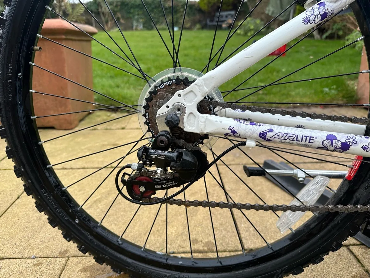 Girls Raleigh Mountain bike - Image 3