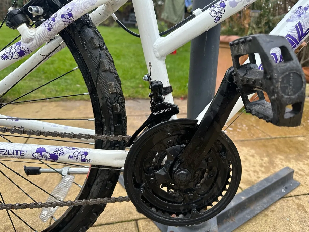 Girls Raleigh Mountain bike - Image 4