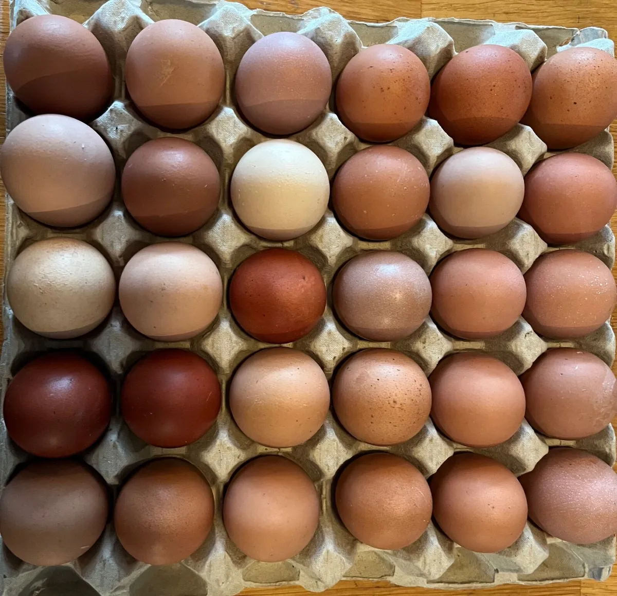 Fresh farm Hen Eggs - Image 3