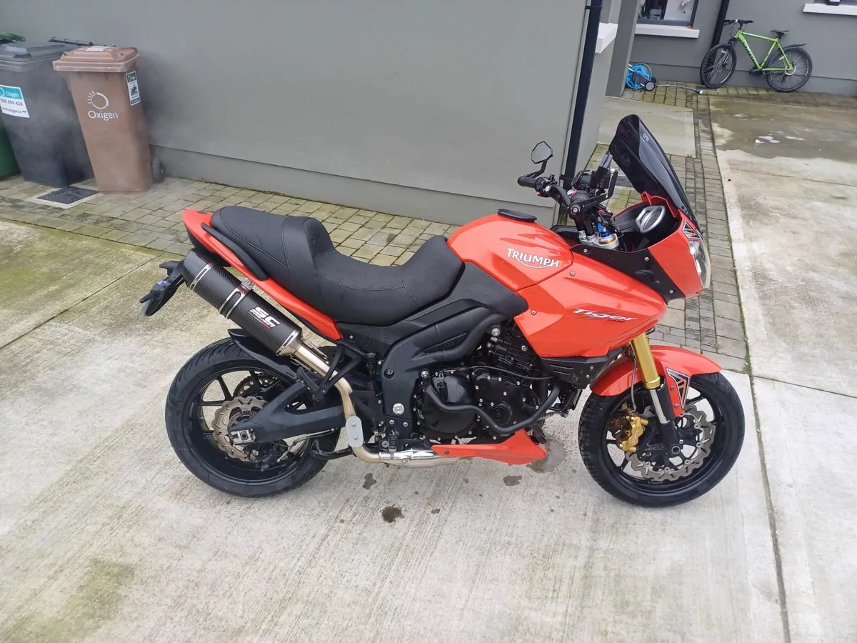 Triumph tiger 1050 - Image 1