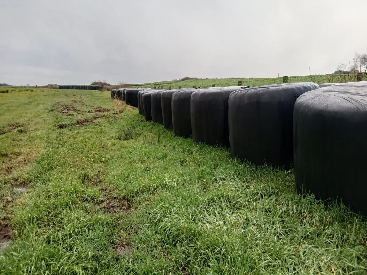 Round bales - Image 1