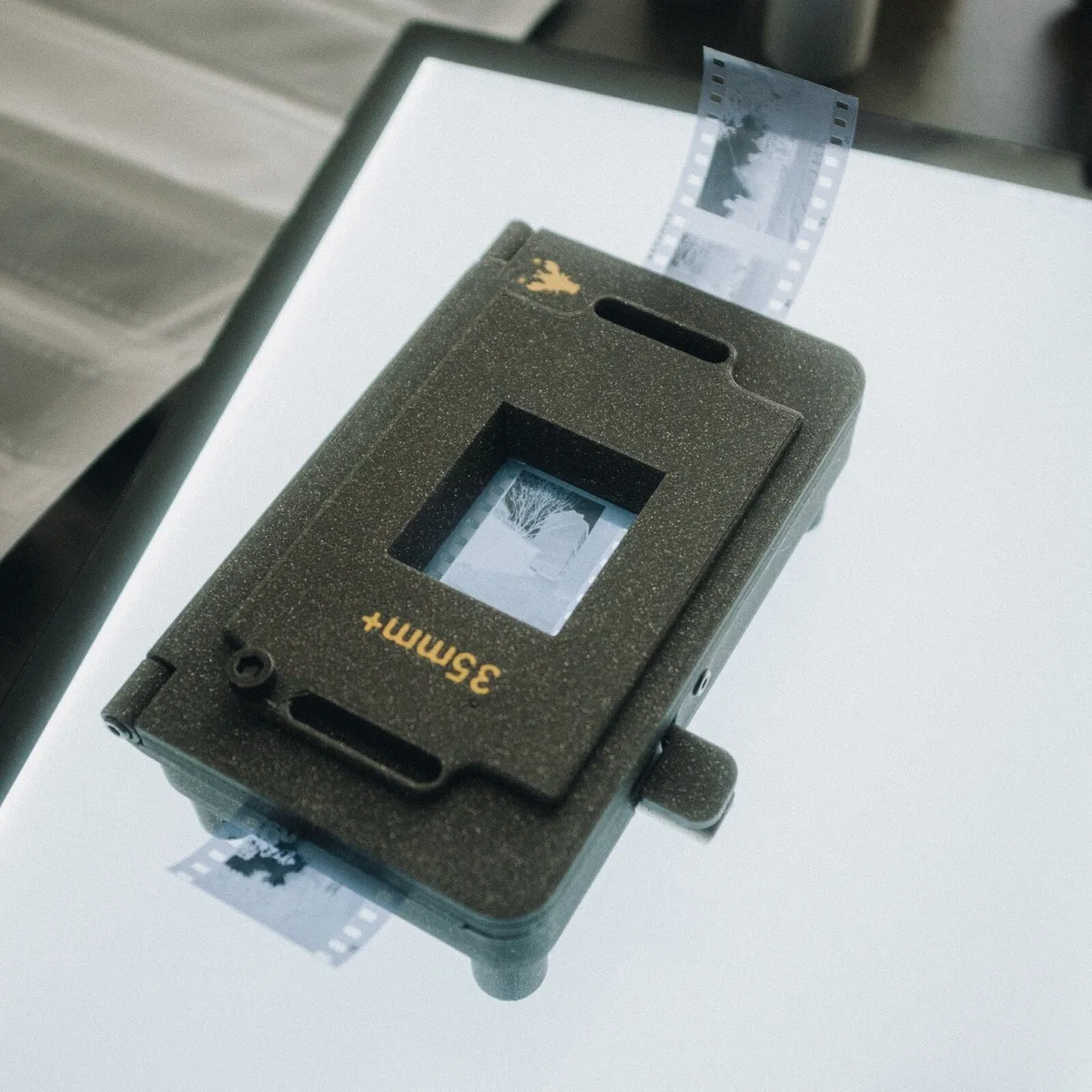 Lobster Holder - scanning 35mm film - Image 1