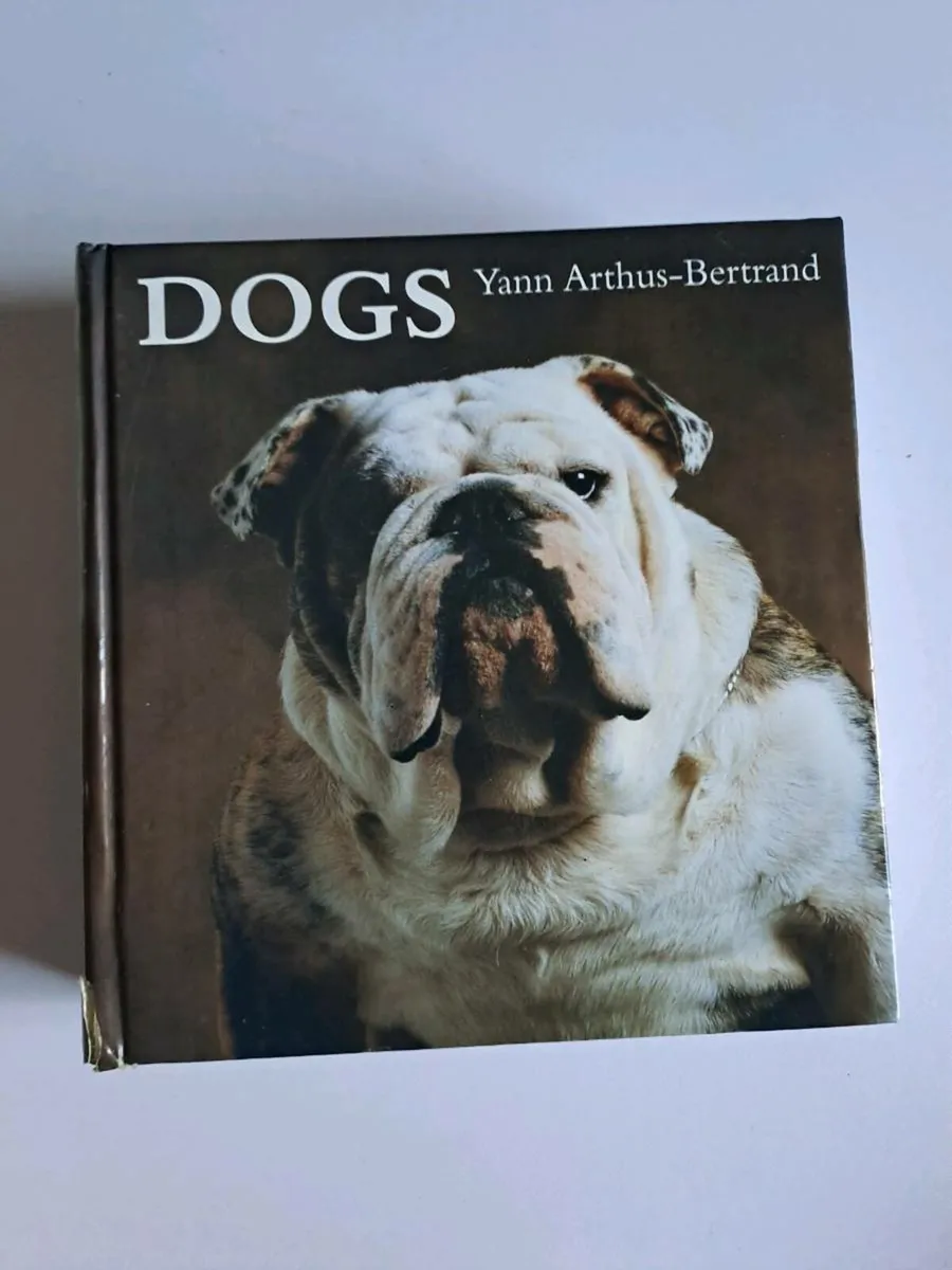 Dogs – Yann Arthus-Bertrand - Image 1