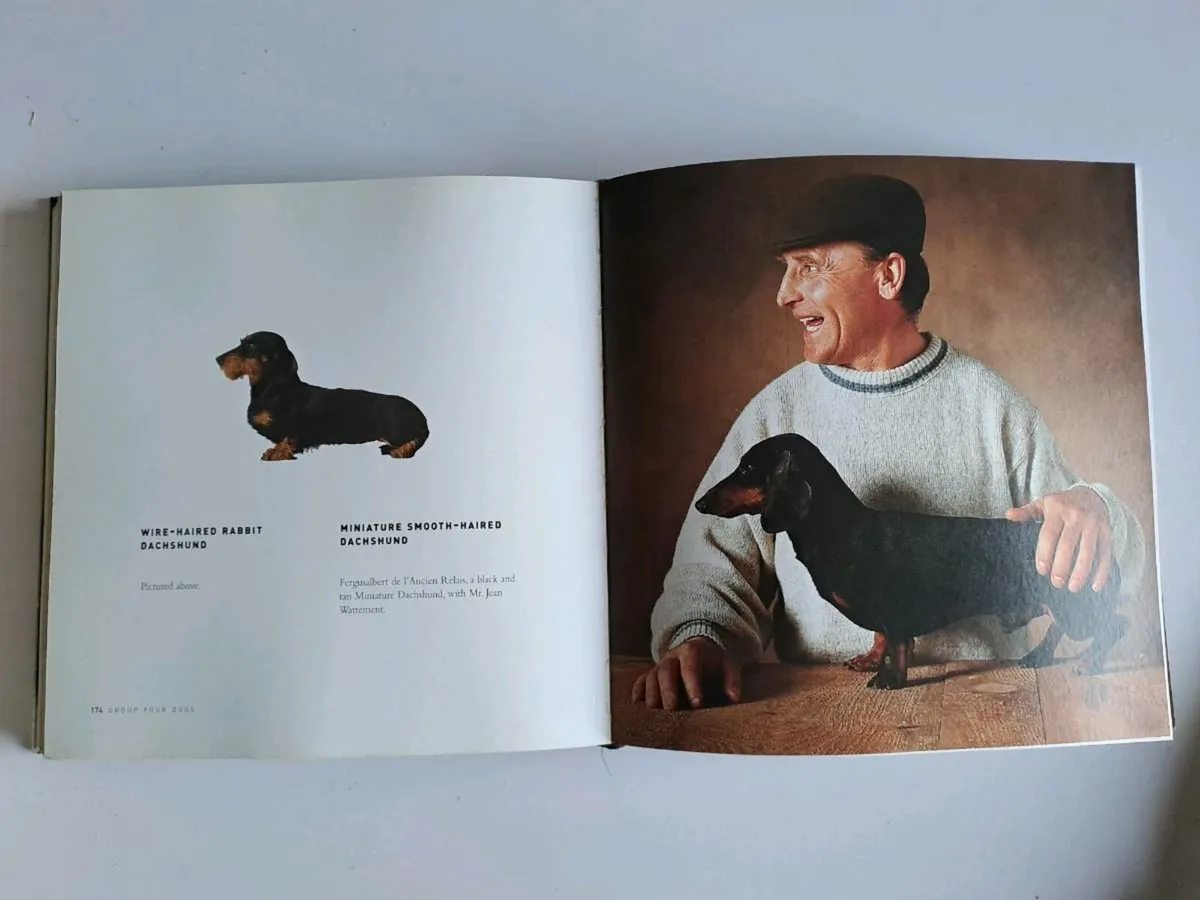 Dogs – Yann Arthus-Bertrand - Image 3