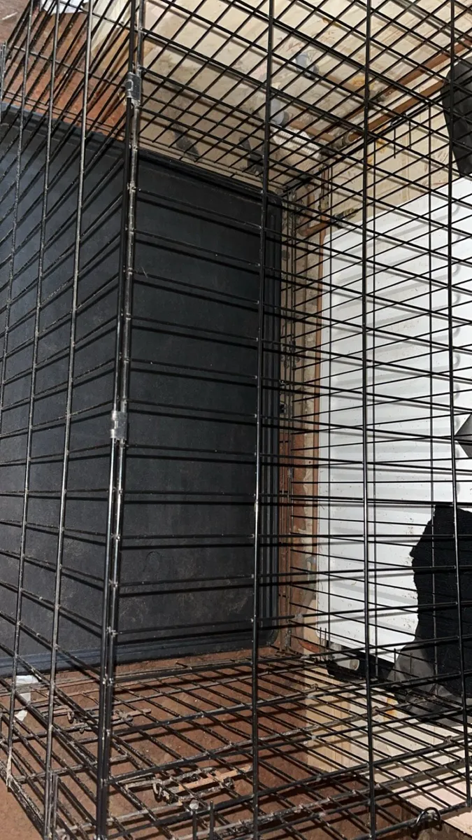 Large dog crate - Image 1