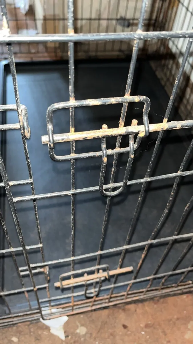 Large dog crate - Image 2