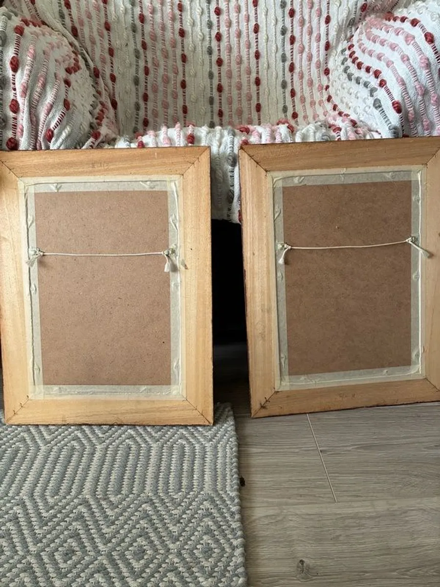 Pair of Vintage Natural History Frog Print Framed - Image 2