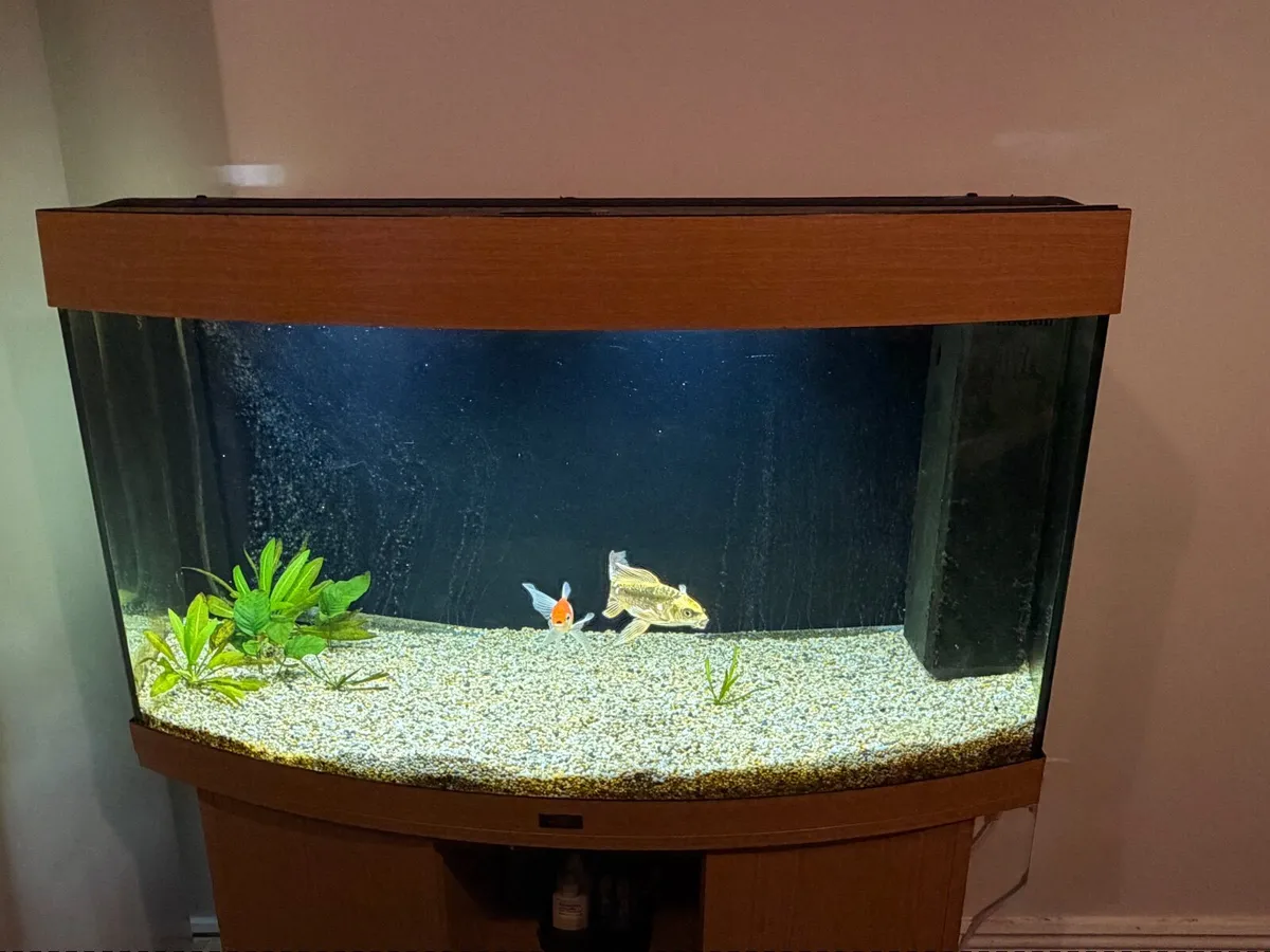 Jewel Aquarium 180lts - Image 2