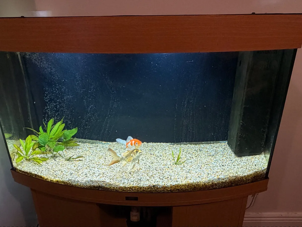 Jewel Aquarium 180lts - Image 1