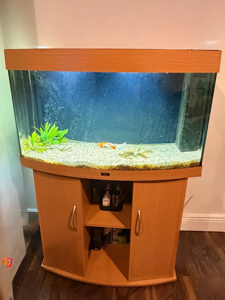 Jewel Aquarium 180lts - Image 3