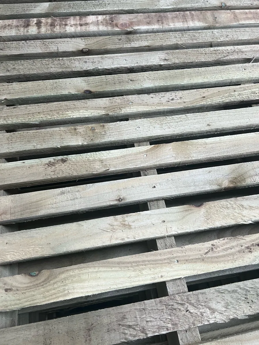 Sheep slats - Image 1