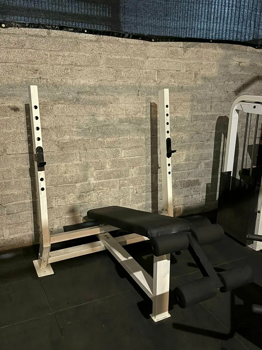 Decline Bench Press (Fixed Bench) - Image 1