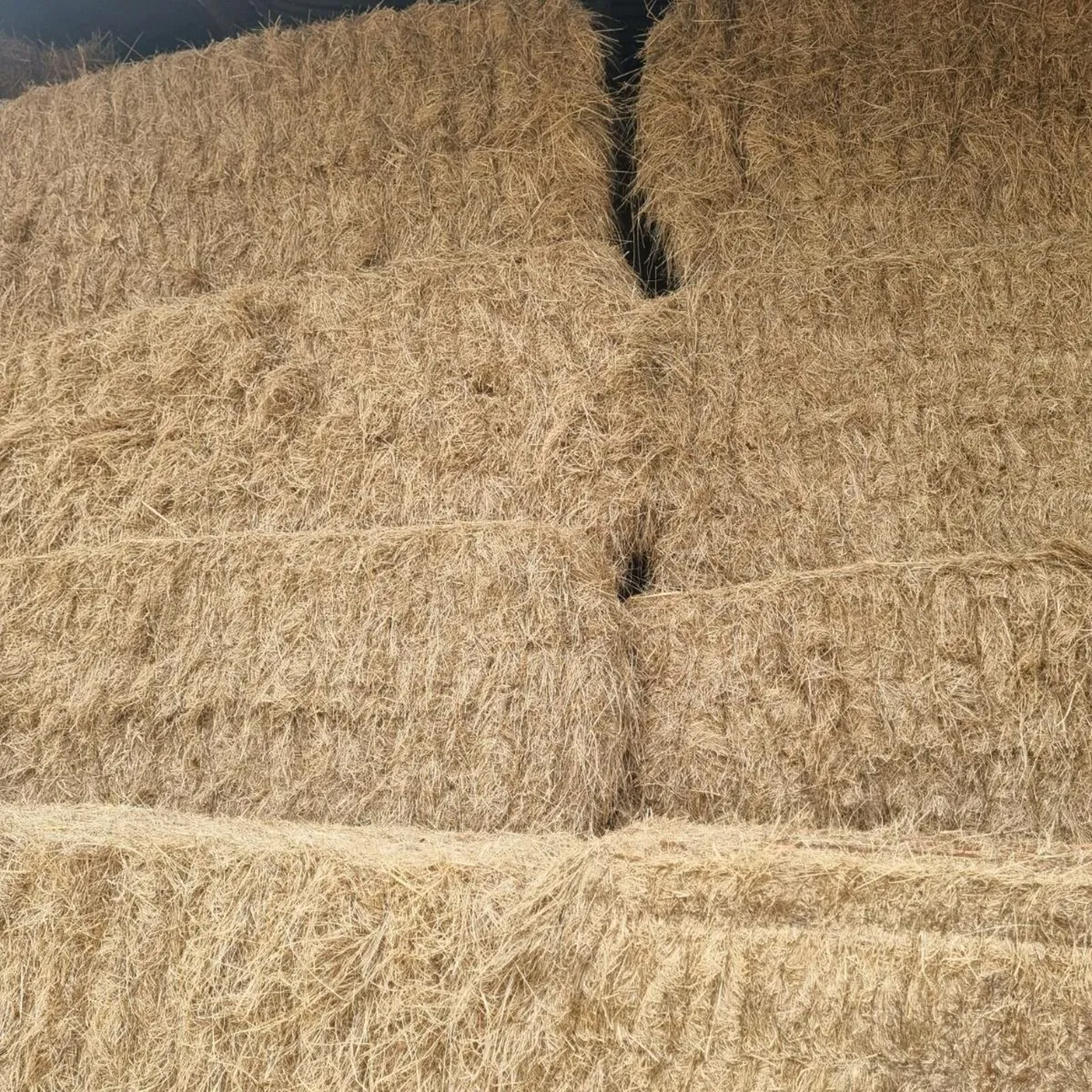 Hay - Image 1