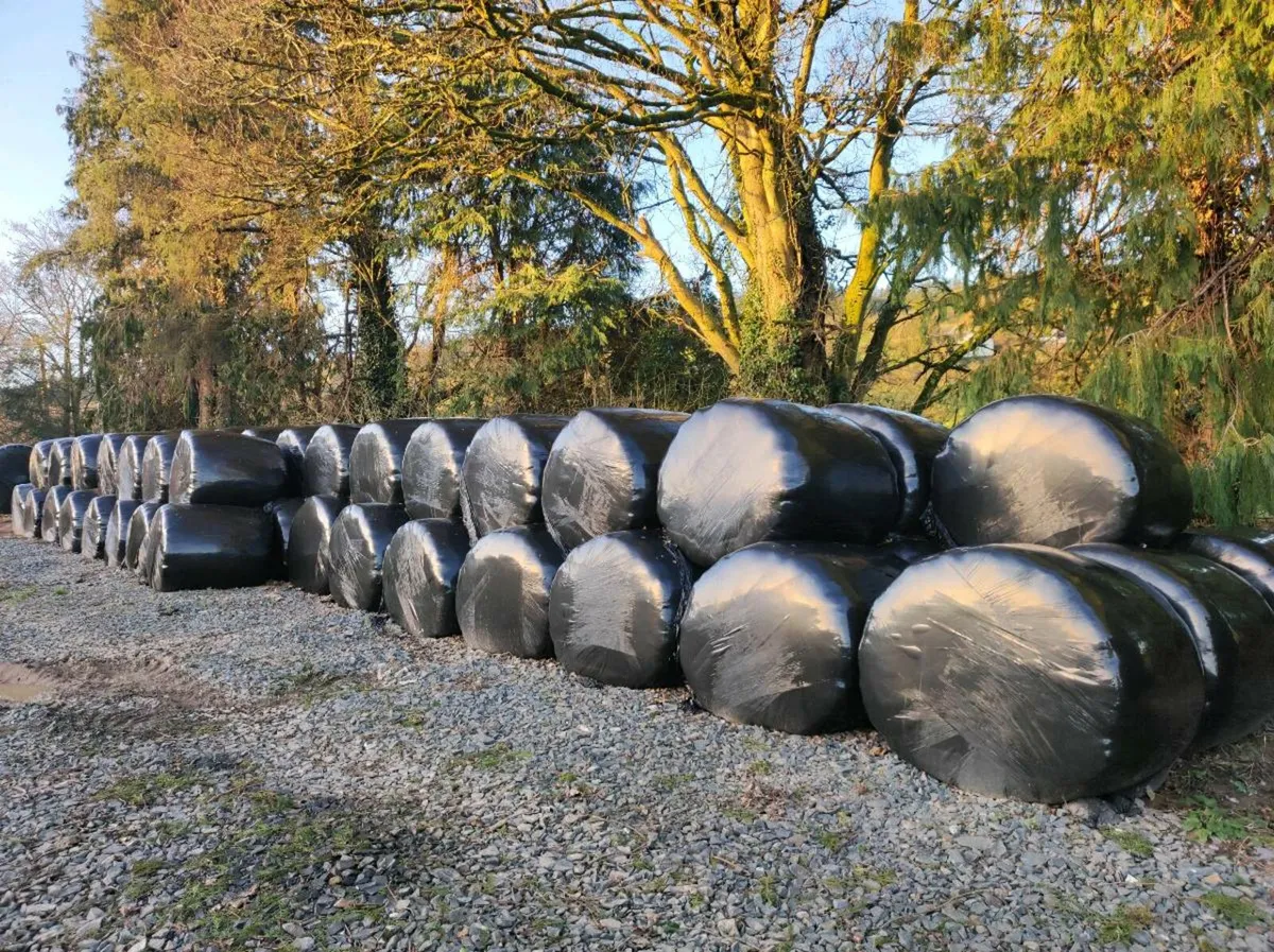 Silage Bales