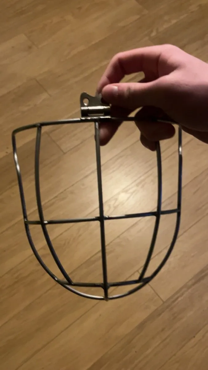 Brian Walsh Kilkenny gaurd