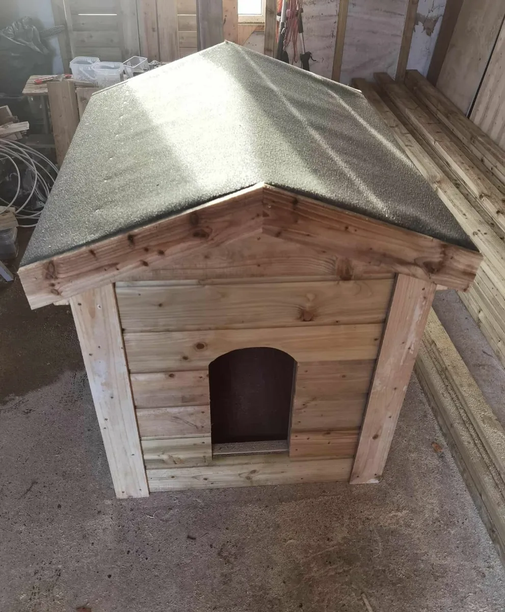 For sale large size - Image 3