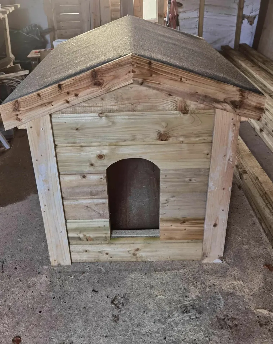 For sale large size - Image 4