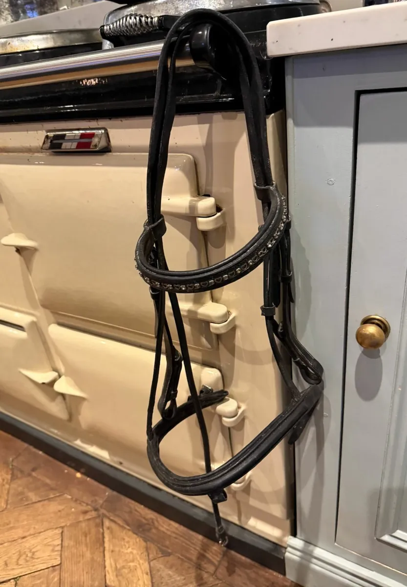 Pony Sized Bridal with Dimonte Brow Band