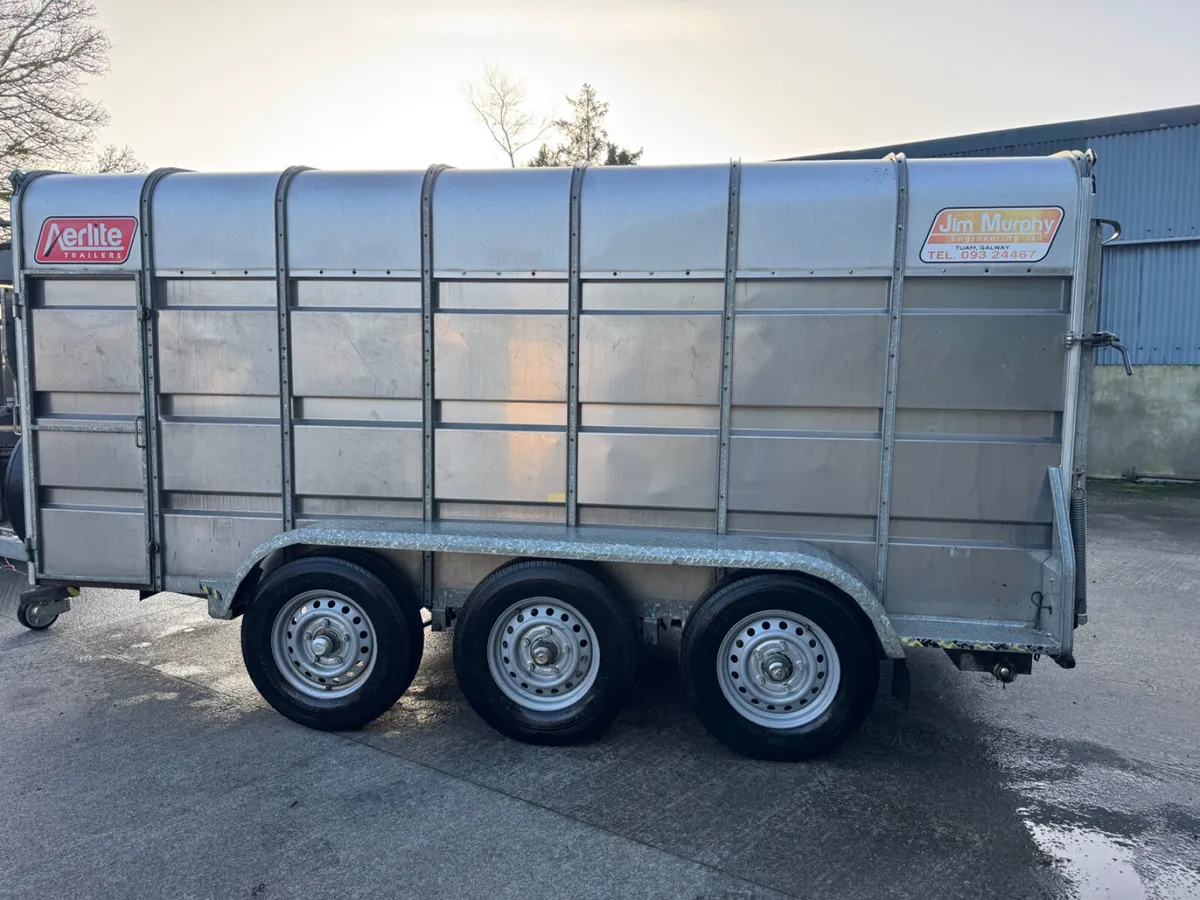 Murphy livestock trailer - Image 4