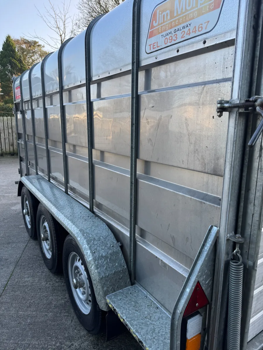 Murphy livestock trailer - Image 2