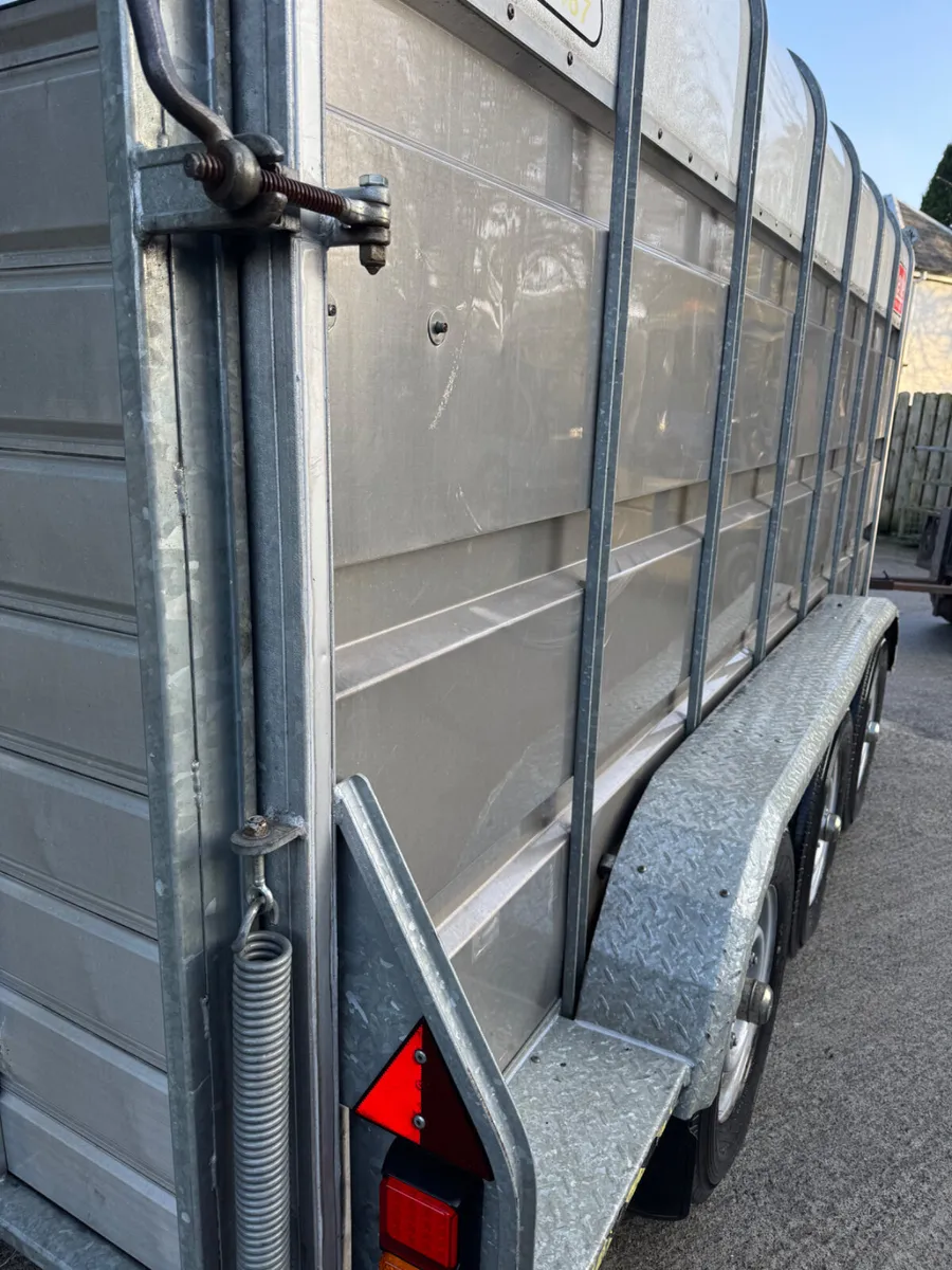 Murphy livestock trailer - Image 3