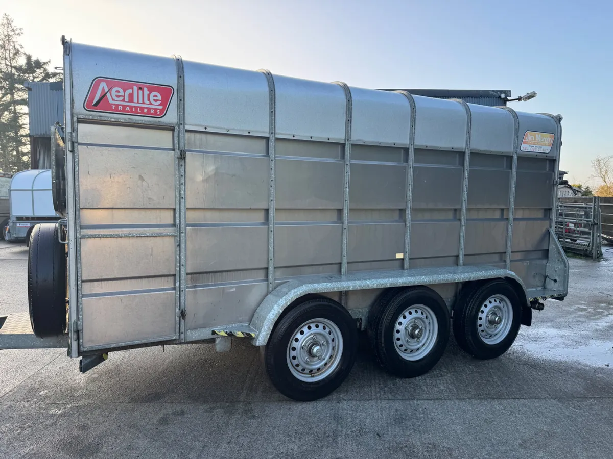 Murphy livestock trailer - Image 1