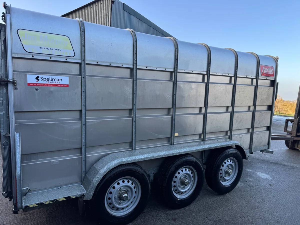 Murphy livestock trailer - Image 1
