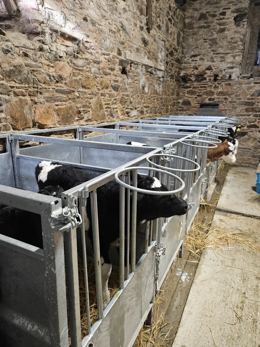 Calf Barriers and Calf Pens - Image 2