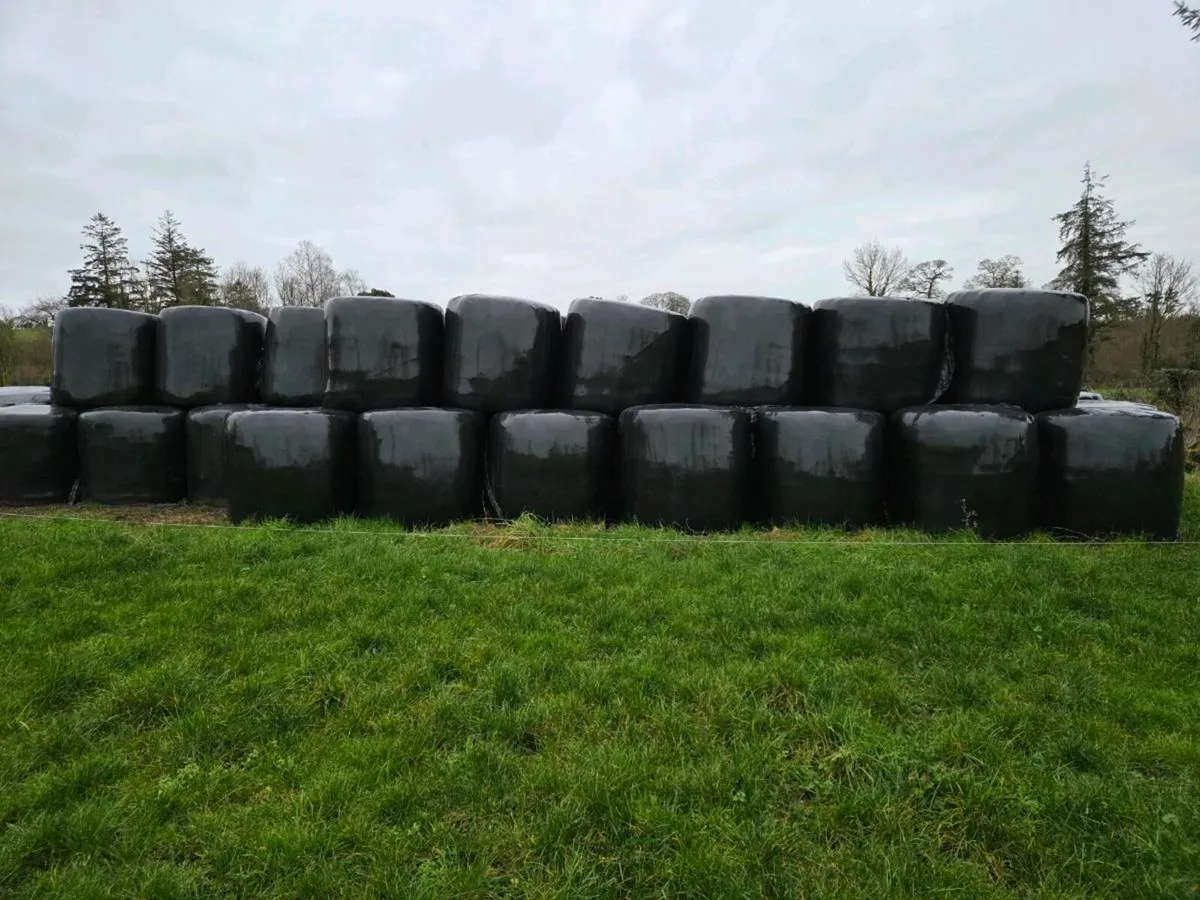 Silage bales