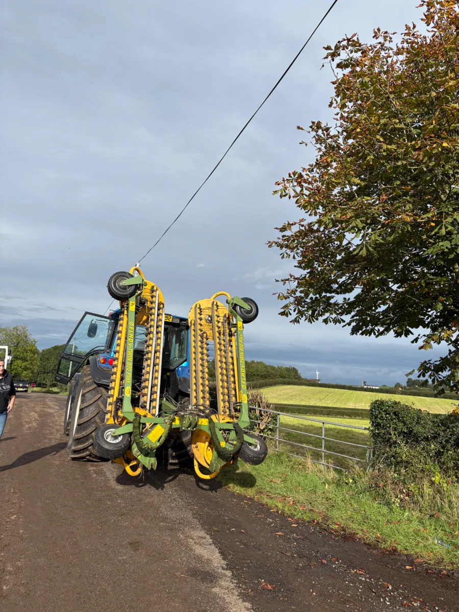 Echo Swarter - Image 2