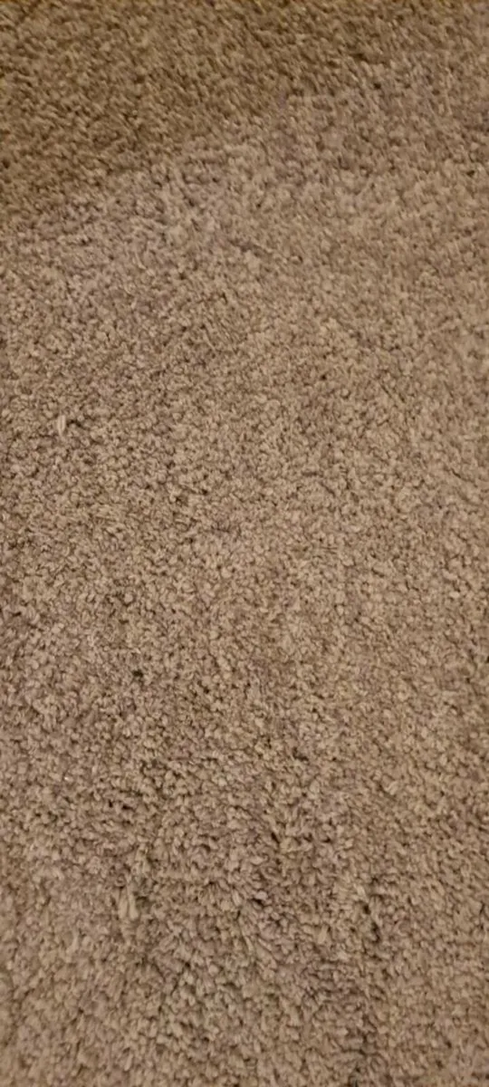 Plush Teddy rug - Image 3