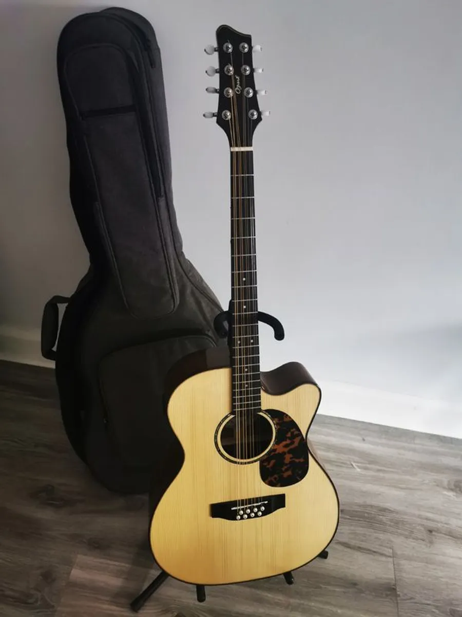 Ozark 2246 Electro Acoustic Bouzouki & Gig Bag