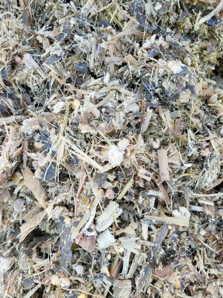 Pit Maize Silage Delivered - Image 2