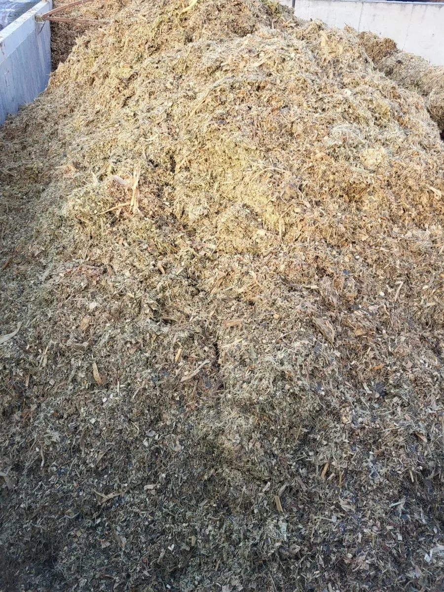 Pit Maize Silage Delivered - Image 1