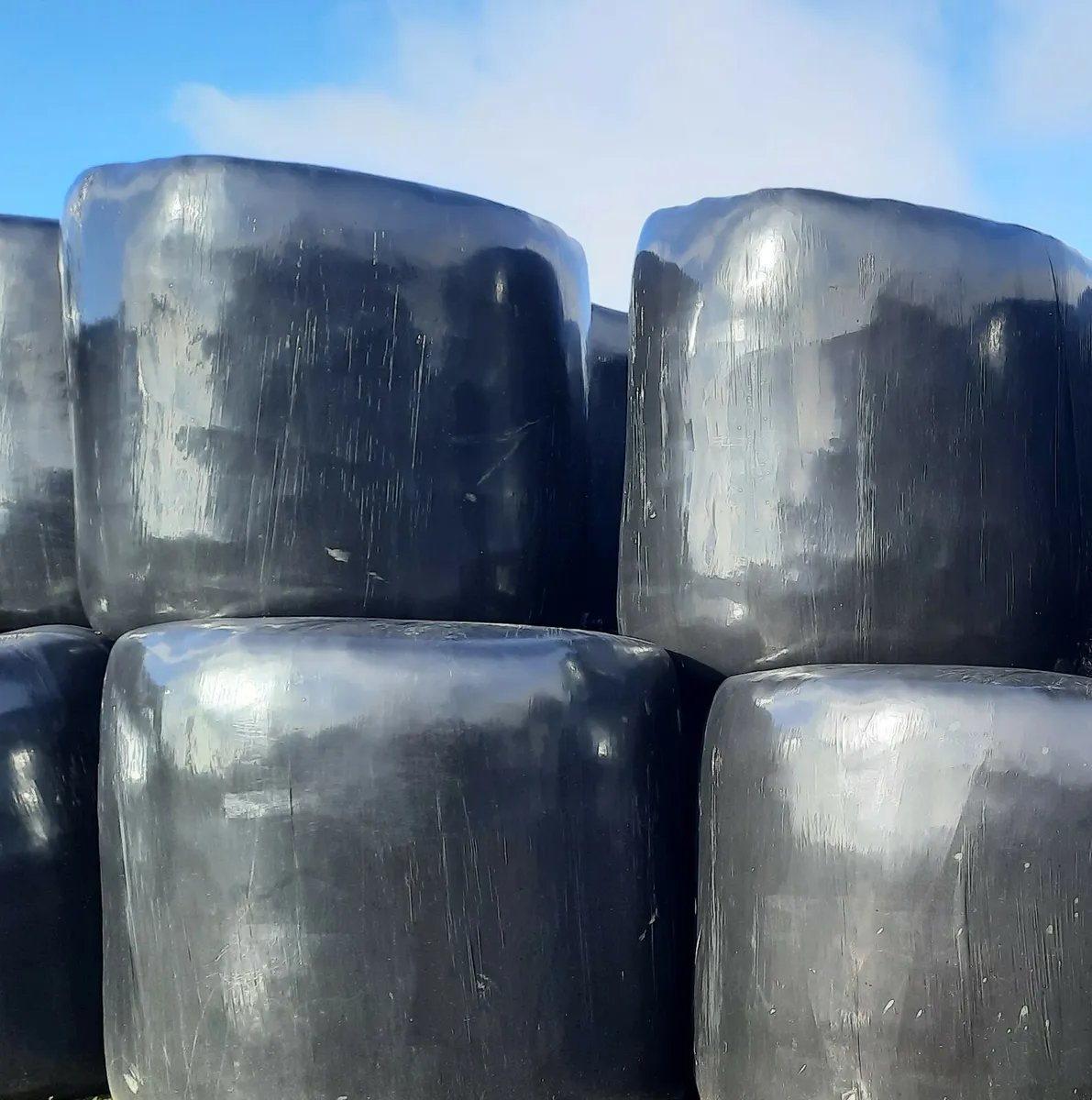 Silage Bales - Image 2