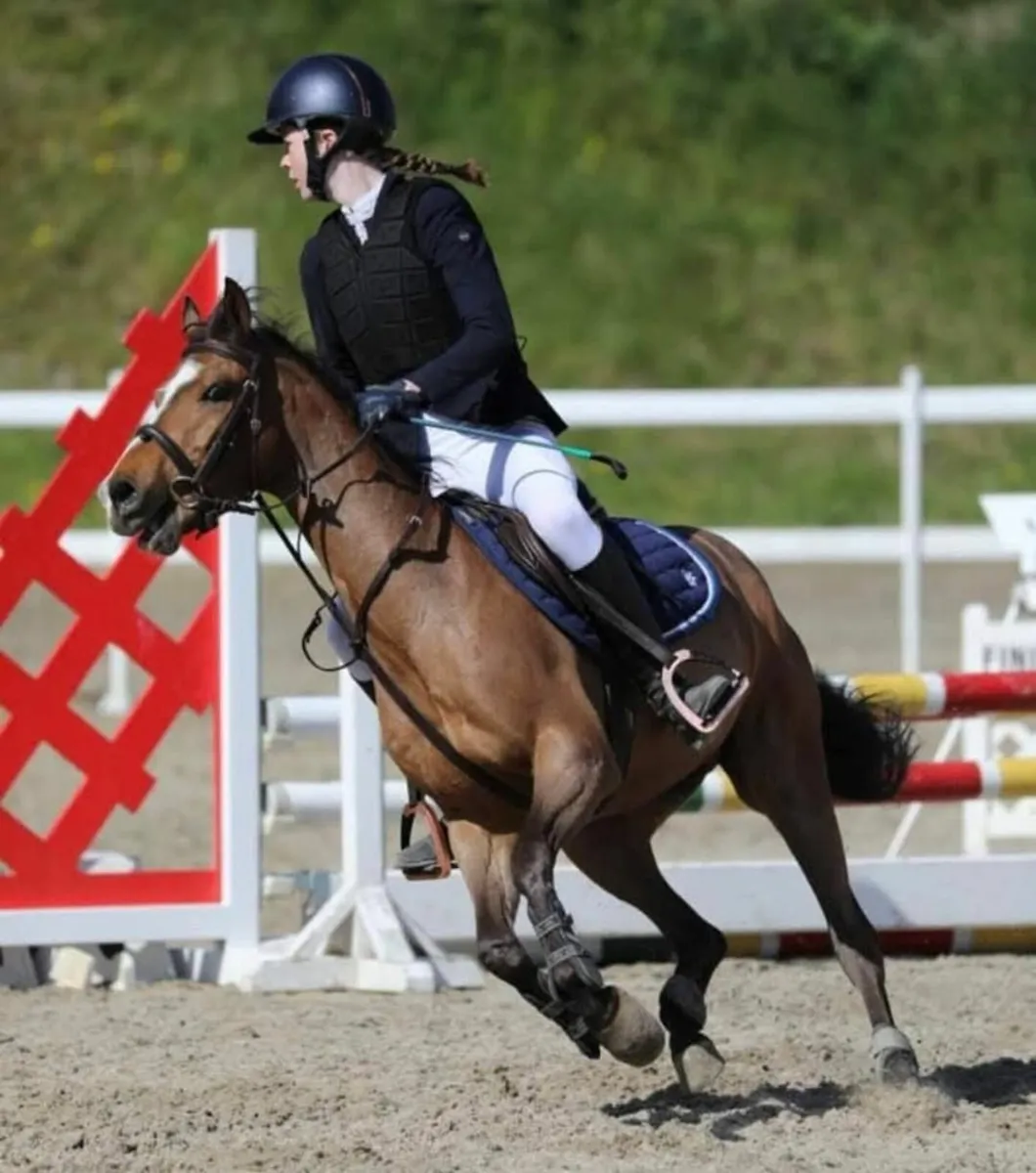 🌟 128cm SJI Pony 🌟 - Image 4
