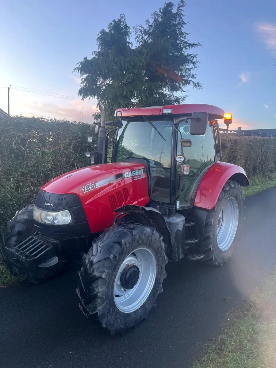 case maxxum 125 - Image 2