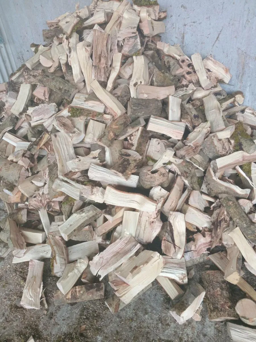 Fire wood - Image 1