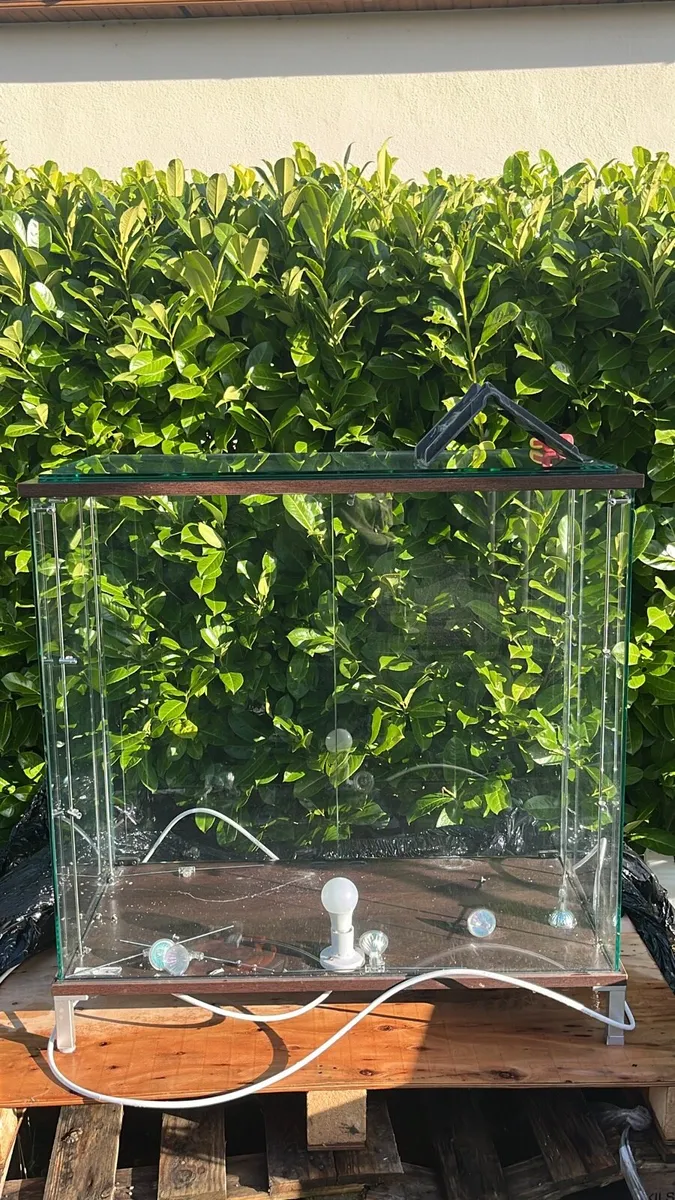 Glass cabinets - Image 1