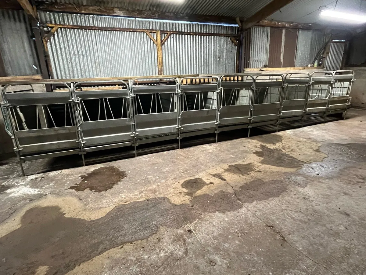 O Donovan Calf Pens - Image 2