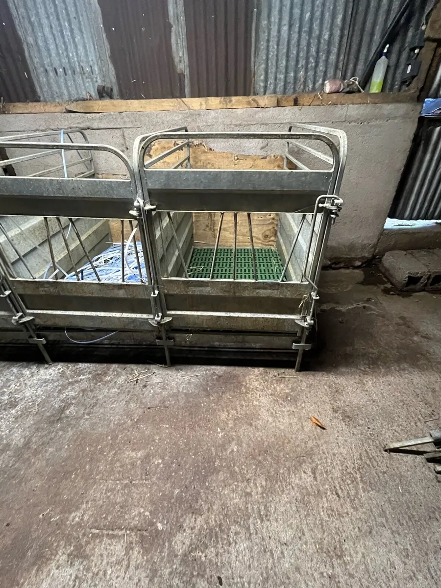 O Donovan Calf Pens - Image 3