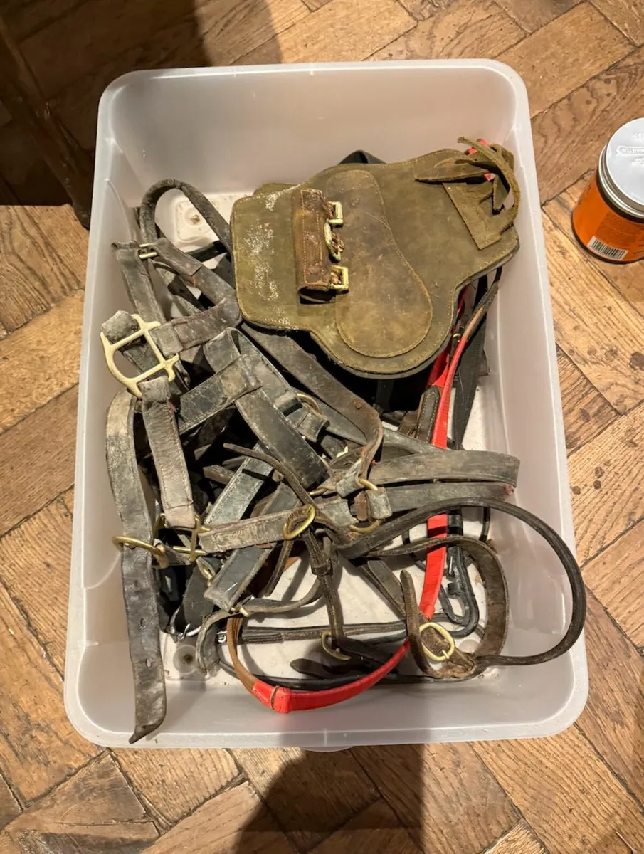 Rubber Horse Riding Boots & Box of Broken Tack - Image 2