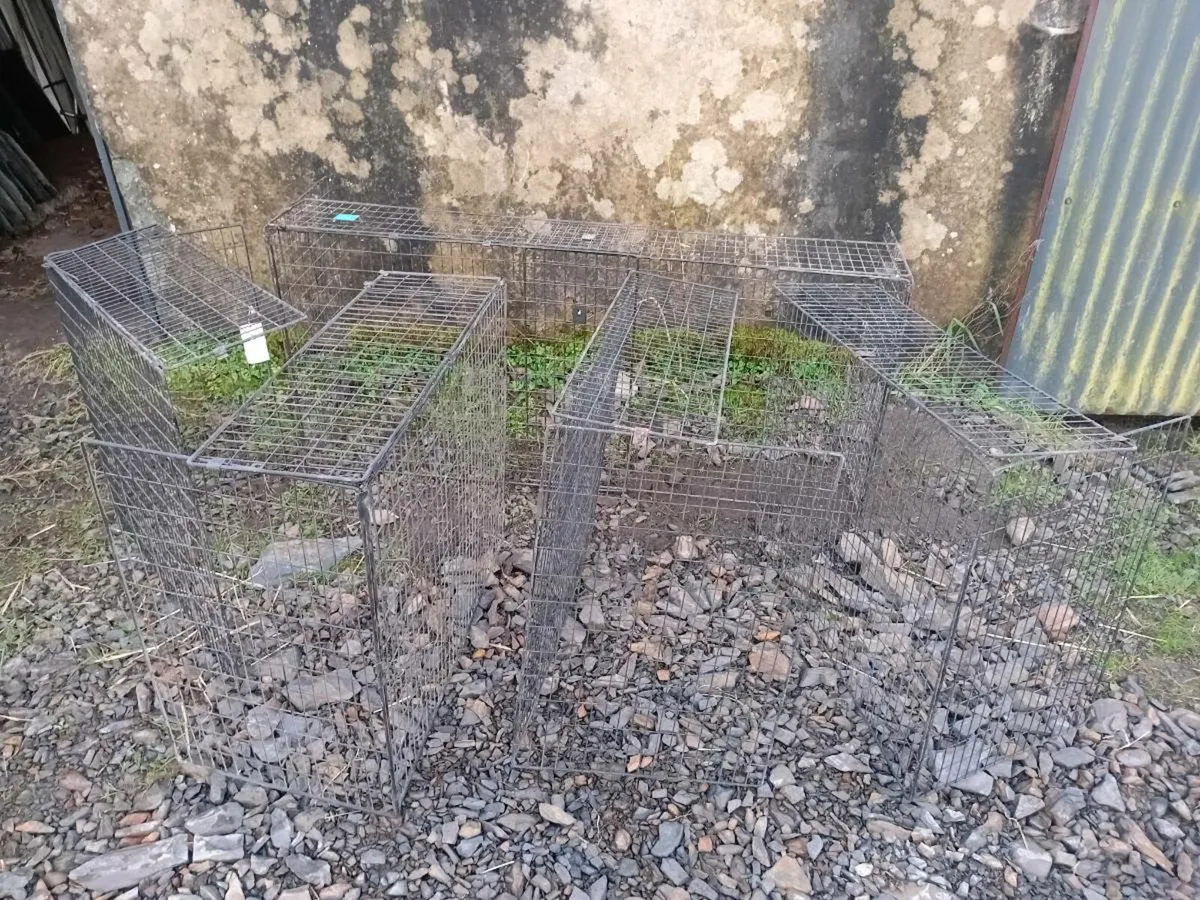 Fireguards-puppy enclosure - Image 1