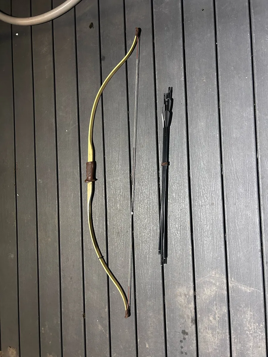 Bow and arrows - Image 3