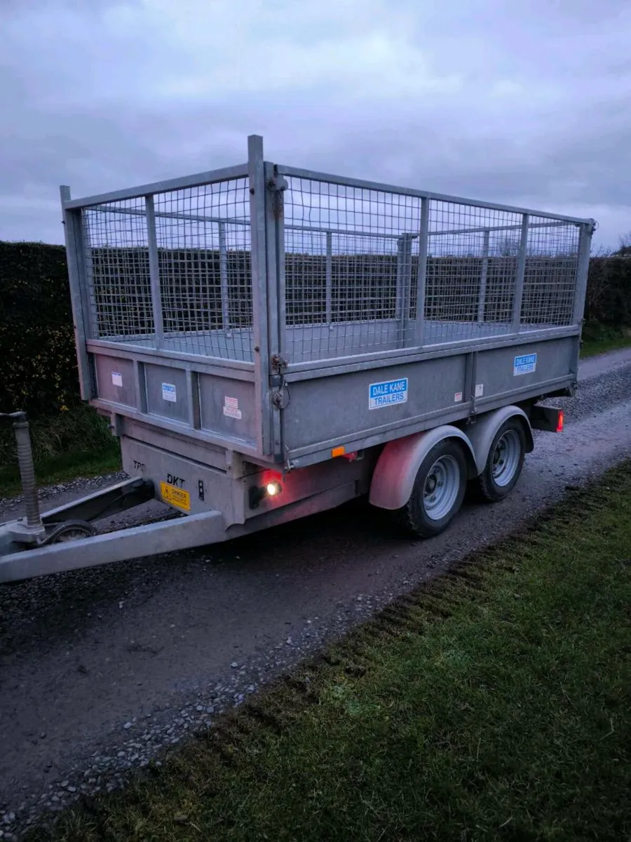 Dale kane tipping trailer 10x5 mesh sides Ramps - Image 2