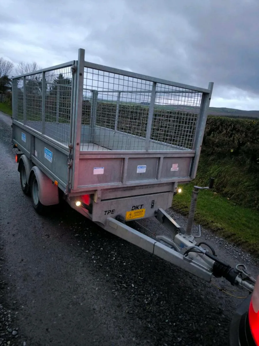 Dale kane tipping trailer 10x5 mesh sides Ramps - Image 3