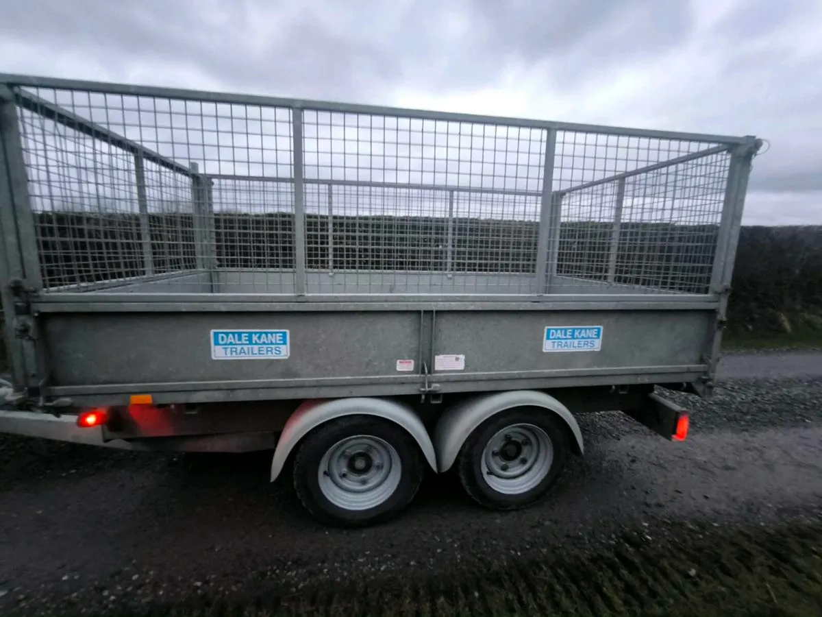 Dale kane tipping trailer 10x5 mesh sides Ramps - Image 4