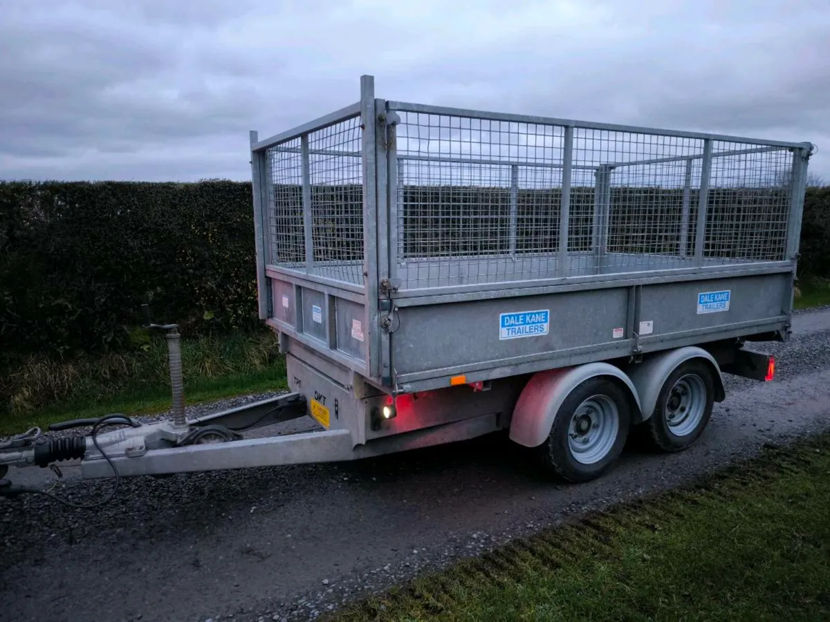 Dale kane tipping trailer 10x5 mesh sides Ramps - Image 1